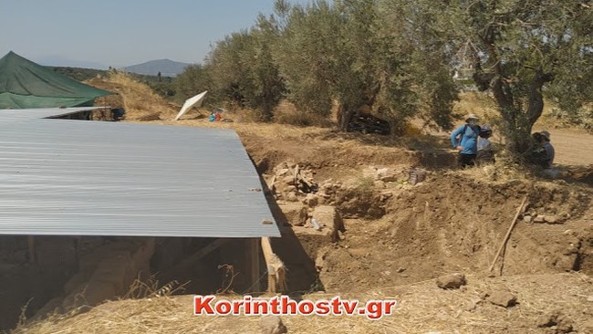 τενέα