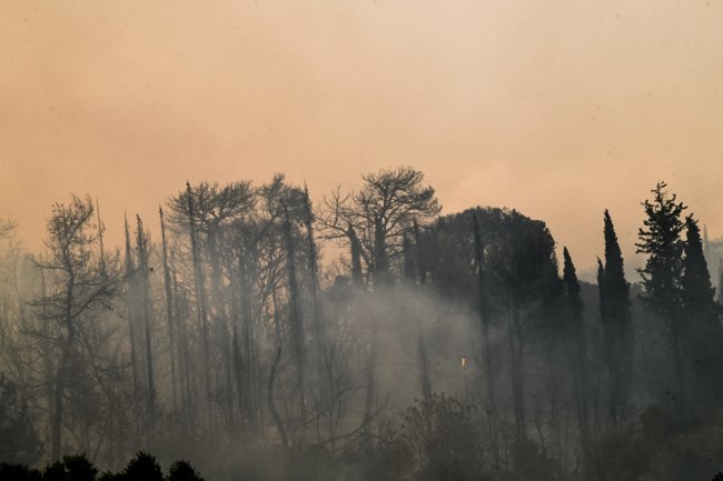 Φωτιά στην Ηλεία: Νύχτα κόλασης στην Πηνεία - Τεράστιο το μέτωπο, καίγονται σπίτια - Καταγγελία για "χτύπημα εμπρηστή"