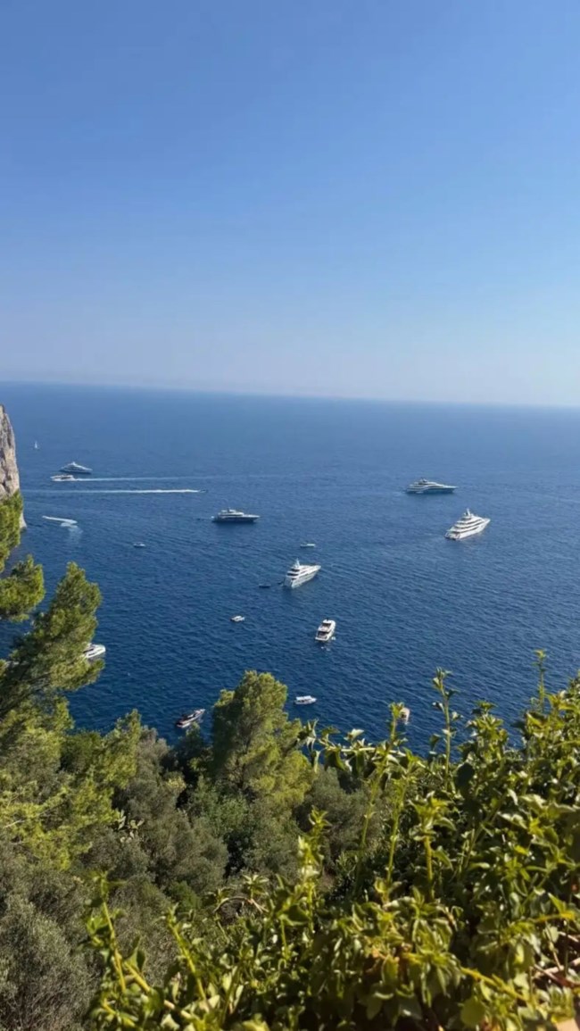 ΑΜΑΛΙΑ ΚΩΣΤΟΠΟΥΛΟΥ ΚΑΠΡΙ