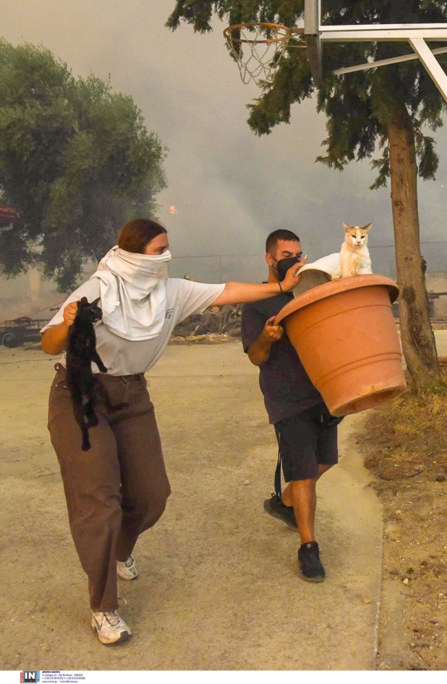 ΖΩΑΚΙΑ ΠΑΤΡΑ ΦΩΤΙΑ