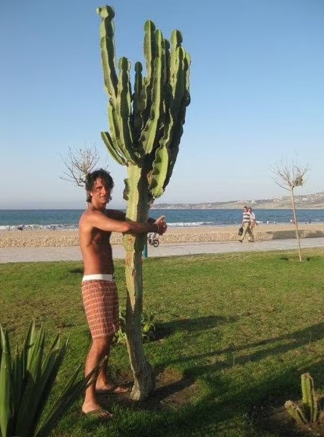 Καρχαρίας κατασπάραξε Ιταλό αξιωματούχο της ΕΕ στην Ερυθρά Θάλασσα - Ο 48χρονος γιόρταζε τα γενέθλιά του σε πολυτελές θέρετρο