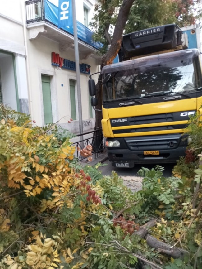 Δήμος Αθηναίων: Η πτώση του δέντρου στην Πατησίων αποδίδεται αποκλειστικά στην πρόσκρουση του φορτηγού