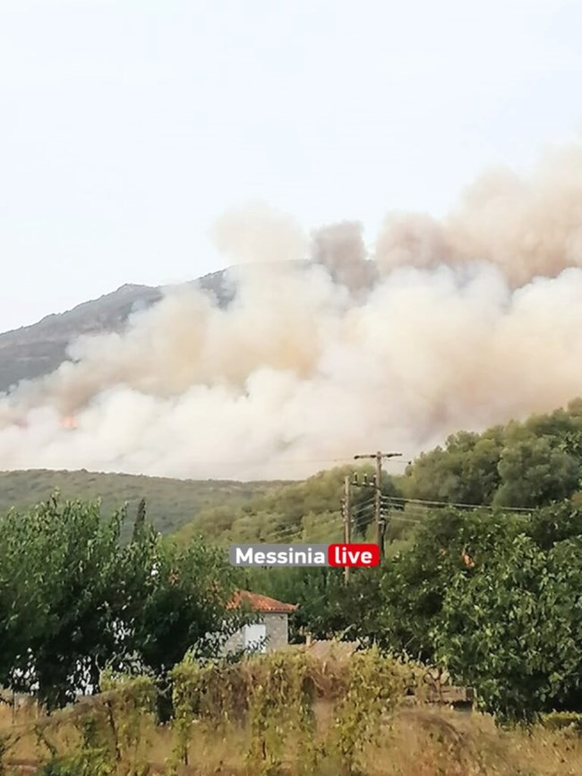 Φωτιά στη Μεσσηνία