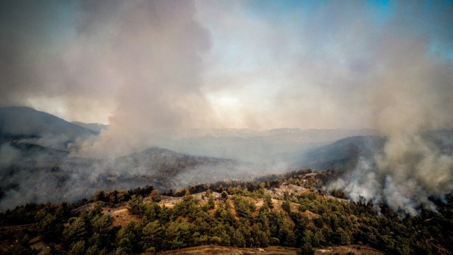 Μεγάλη αναζωπύρωση στη Ρόδο: Τρεις δημοτικές ενότητες σε κατάσταση εκτάκτου ανάγκης - Καλύτερη η εικόνα στη Σπάρτη