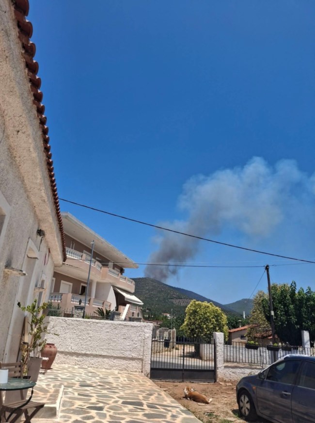 ΦΩΤΙΑ ΓΡΑΜΜΑΤΙΚΟ