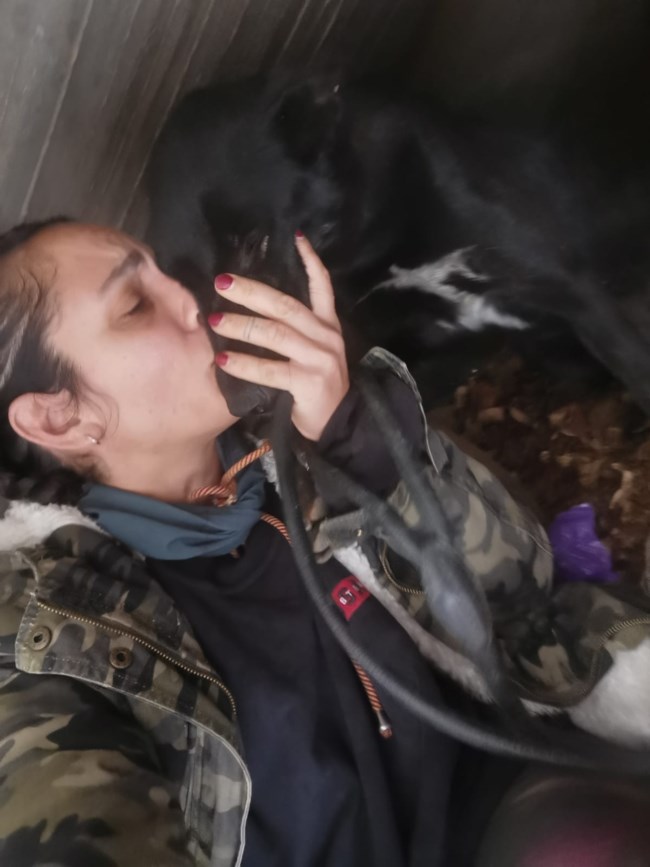 Save a Greek Stray: Βρέθηκε η Μπέτυ, τέλος η αγωνία για τους ανθρώπους της και για εκείνη