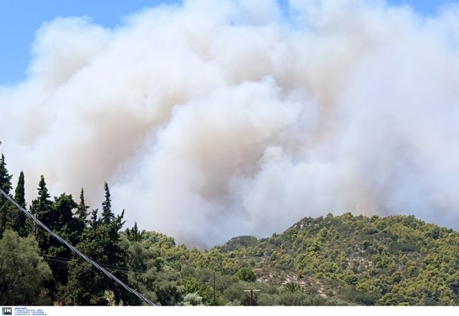 Φωτιά στο Κερί Ζακύνθου