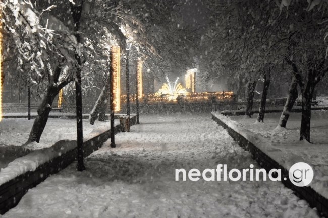 ΦΛΩΡΙΝΑ ΧΙΟΝΙΑ