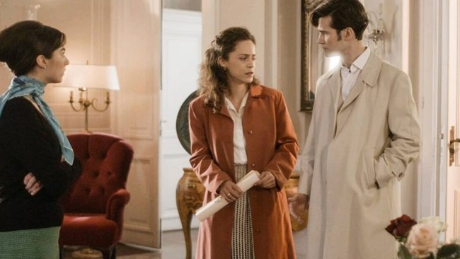 αγριες μελισσες