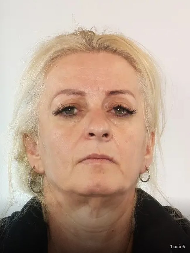 Εγκληματική Οργάνωση