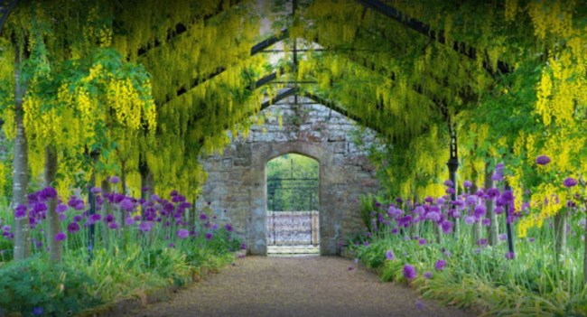 Cowdray_house