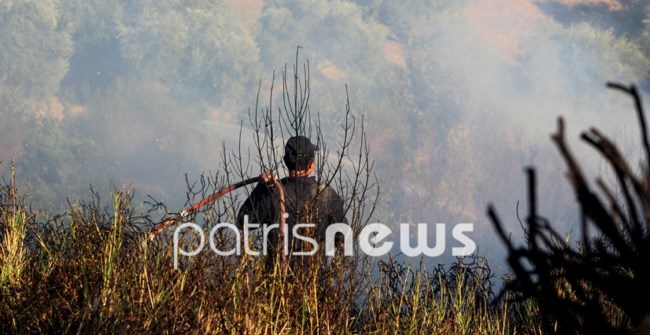 Μεγάλη φωτιά στους Σχίνους Ζαχάρως, κοντά σε κατοικημένη περιοχή [εικόνες-βίντεο]