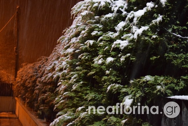 Κακοκαιρία "Λέανδρος": Παγετός στη Β. Ελλάδα - Χιόνια και στα βόρεια προάστια της Αττικής - Σε επιφυλακή η Πολιτική Προστασία