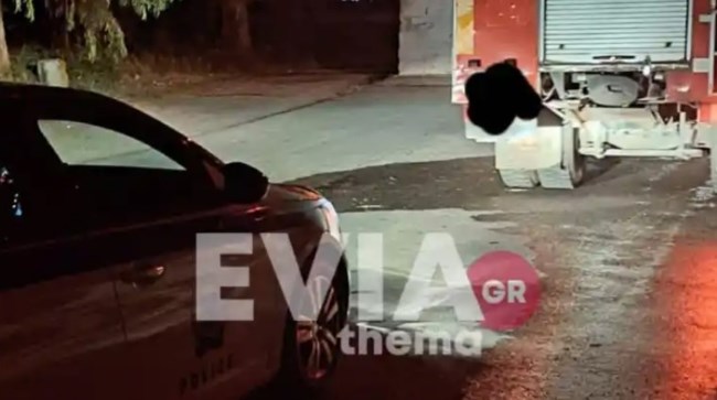Κτηνωδία στην Εύβοια: Πέταξαν σκύλο σε κάδο σκουπιδιών και του έβαλαν φωτιά