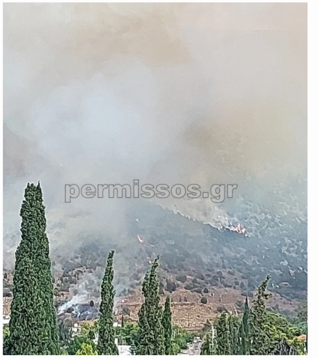 Φωτιά στο Δίστομο