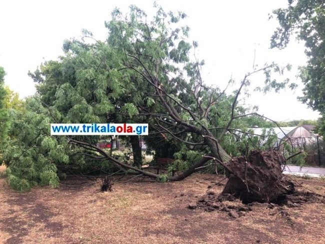Τρίκαλα: Ισχυρό μπουρίνι σάρωσε την πόλη - Πλημμύρισαν δρόμοι, ξεριζώθηκαν δέντρα [Εικόνες - Βίντεο]