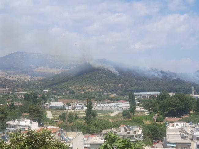 Καβάλα: Υπό έλεγχο η φωτιά που ξέσπασε στην είσοδο της πόλης - Εντονος προβληματισμός και ανησυχία για τις αναζωπυρώσεις