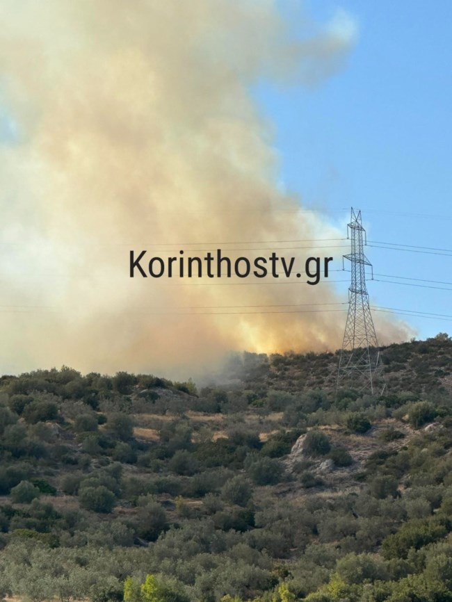 Φωτιά στην Κόρινθο: Καίγεται αγροτοδασική έκταση στον Μαψό Κορινθίας