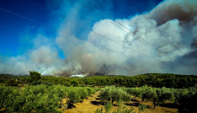 Φωτιά στην Εύβοια