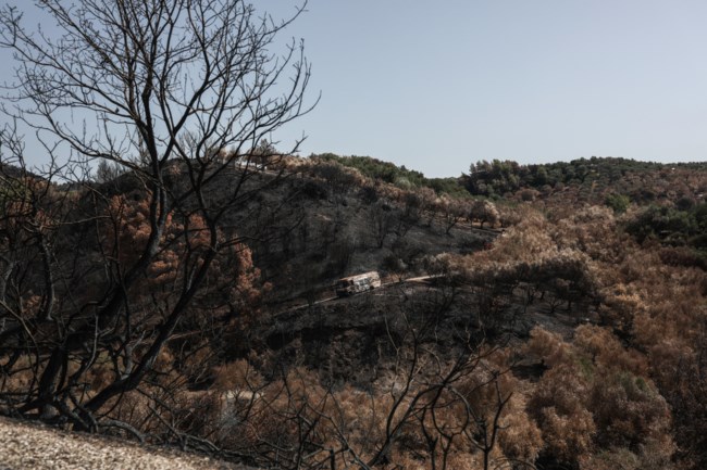 σακελλαροπουλου