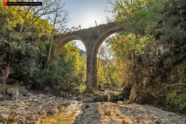 Πέρδικα