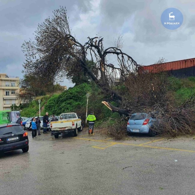 Ρόδος: Σοκαριστικό βίντεο - Η στιγμή που ανεμοστρόβιλος ξεριζώνει δέντρα