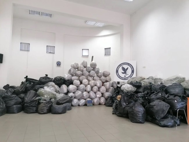 ΦΥΤΕΙΑ ΚΑΝΝΑΒΗΣ ΤΡΙΠΟΛΗ