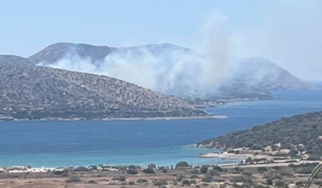 Μεγάλη φωτιά στην Παλαιά Φώκαια: Στις φλόγες σπίτια στο Θυμάρι – Μηνύματα 112 για εκκενώσεις προς Λαγονήσι και Λαύριο [βίντεο]