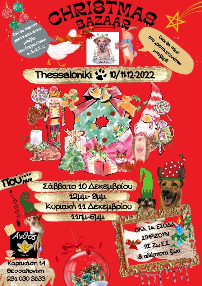 Χριστουγεννιάτικο μπαζάρ στη Θεσσαλονίκη από αδέσποτα για αδέσποτα - Γνωρίστε τη Διώνη, τον Άξελ και τον Πόθο