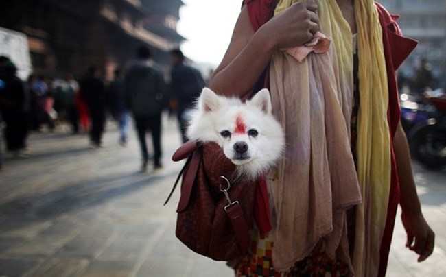 nepal