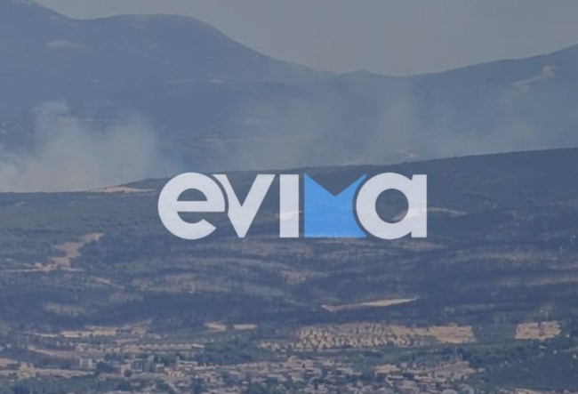 Νέα φωτιά στην Εύβοια: Μήνυμα 112 στους κατοίκους να είναι σε ετοιμότητα - Στη μάχη 120 πυροσβέστες και 14 εναέρια μέσα