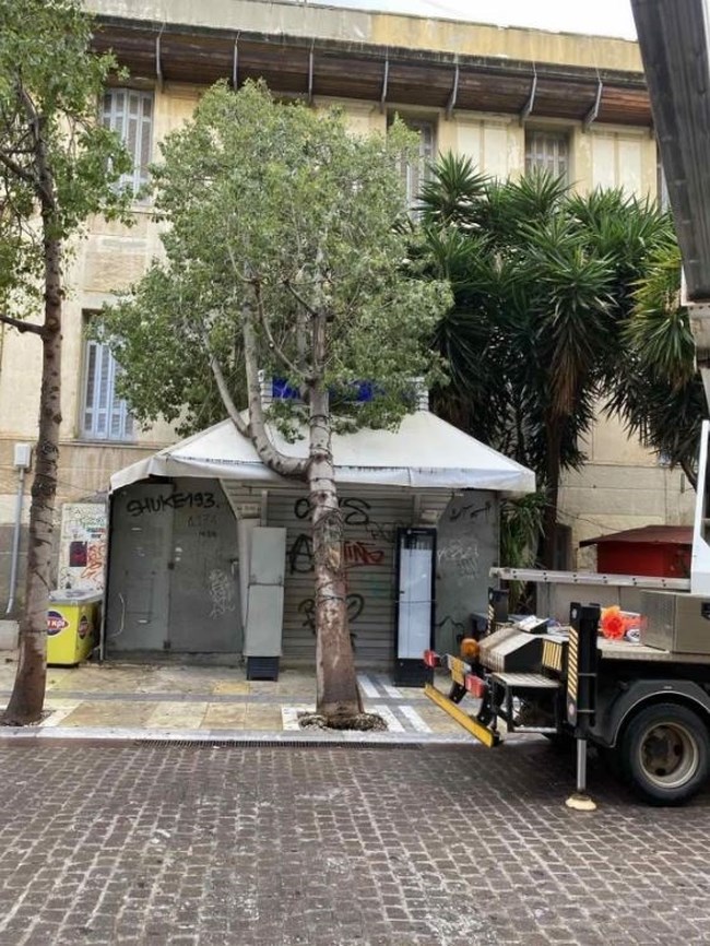 ΔΕΝΤΡΟ ΠΕΡΙΠΤΕΡΟ