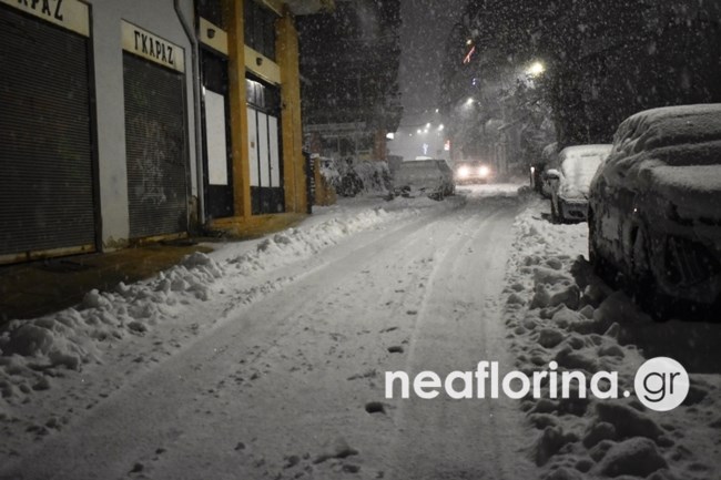 ΦΛΩΡΙΝΑ ΧΙΟΝΙΑ