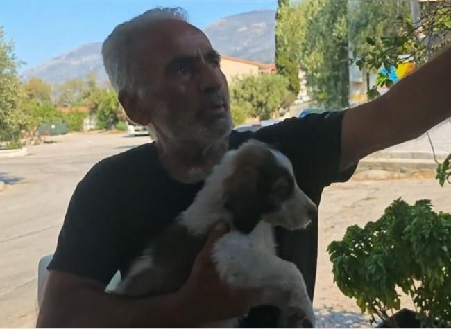 Ένα μικρό "θαύμα" μέσα στις φλόγες: Ο Μπρούνο το κουτάβι που σώθηκε από τον Μάρκο - "Χτυπά ακόμα γρήγορα η καρδιά του"