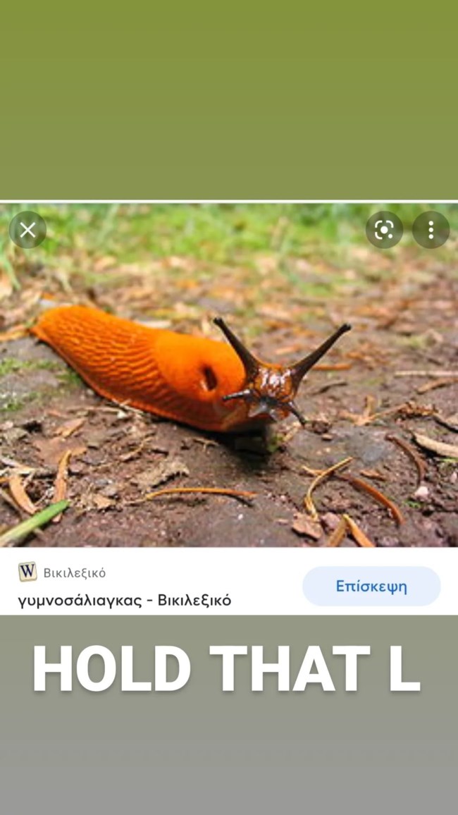σνικ γυμνοσαλιαγκας