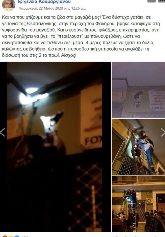 Αδιανόητο: "Εχτισε" ένα γατάκι μέσα στη γυψοσανίδα του μαγαζιού του στη Θεσσαλονίκη [βίντεο]