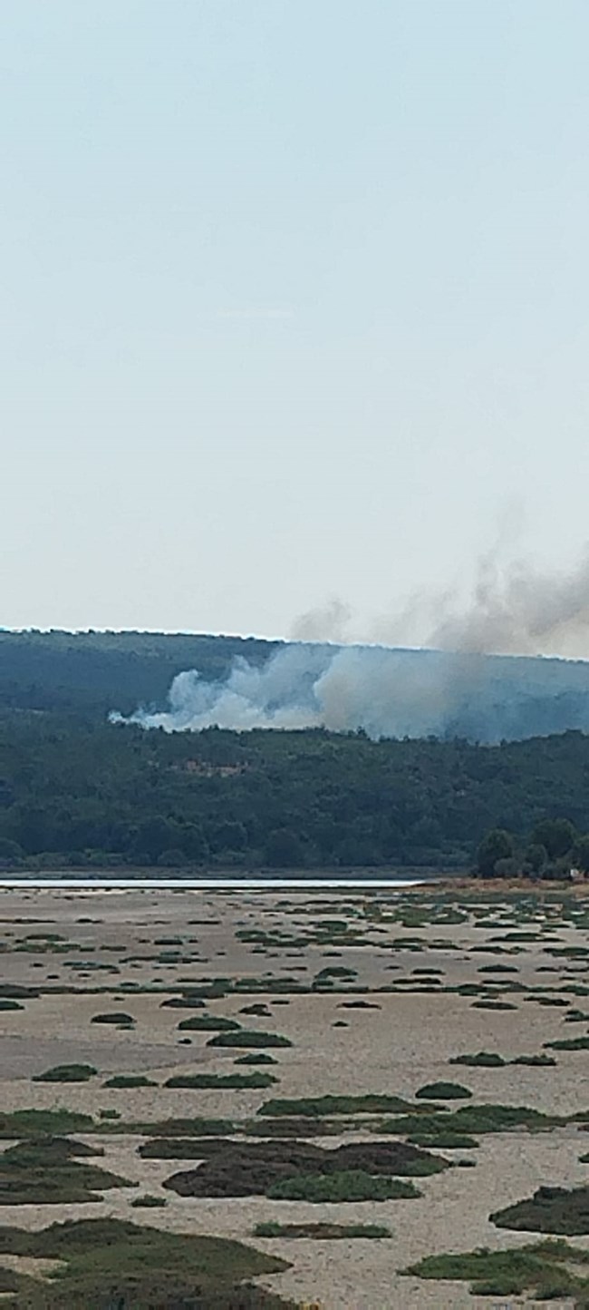 ΦΩΤΙΑ ΛΕΣΒΟΣ