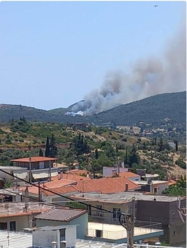 ΓΡΑΜΜΑΤΙΚΟ ΦΩΤΙΑ