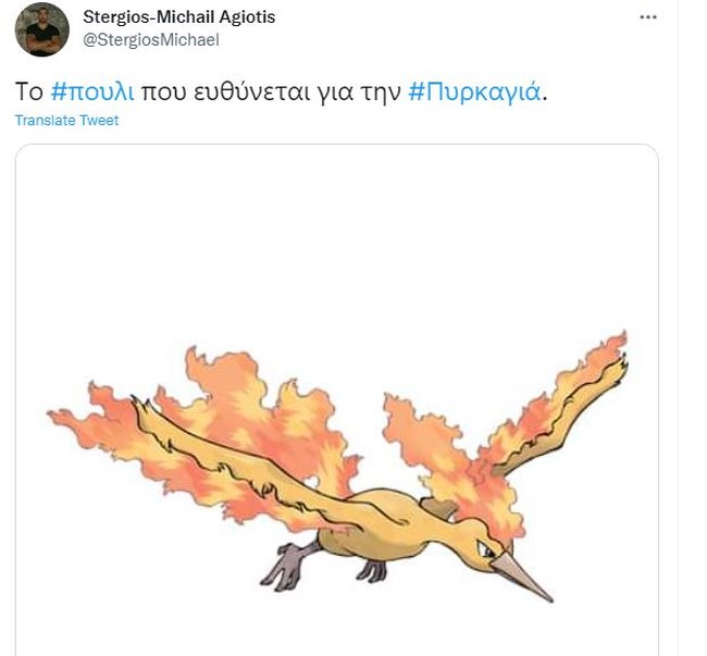 πουλι βουλα