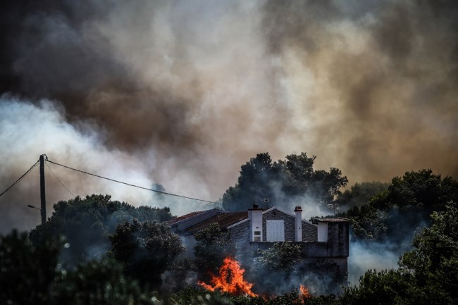 ΦΩΤΙΑ ΡΑΦΗΝΑ