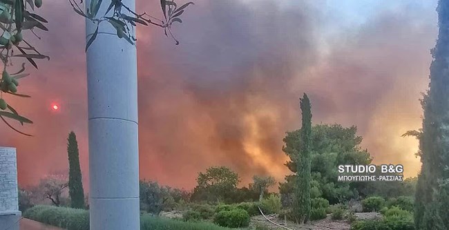 Φωτιά στο Κρανίδι