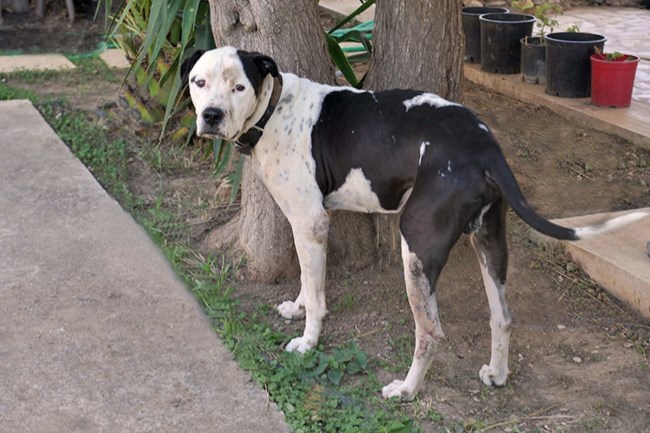 Πόσα "γιατί" κρύβονται πίσω από ένα αντίο... Πόσα "...μα σ'αγαπώ..." φωνάζουν πίσω από ένα "εσύ θα μείνεις πίσω "…