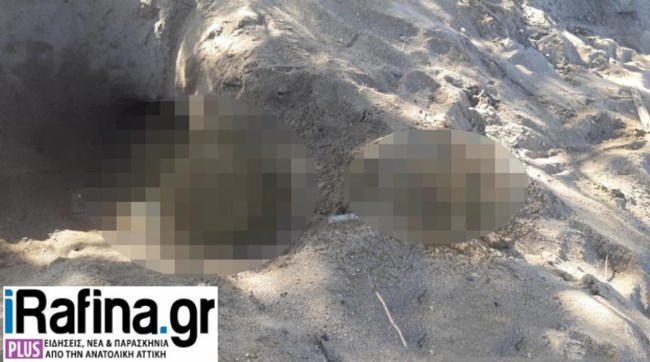 Φρίκη στη Ραφήνα: Παιδάκι έπαιζε στην άμμο και εντόπισε ανθρώπινο κρανίο και οστά