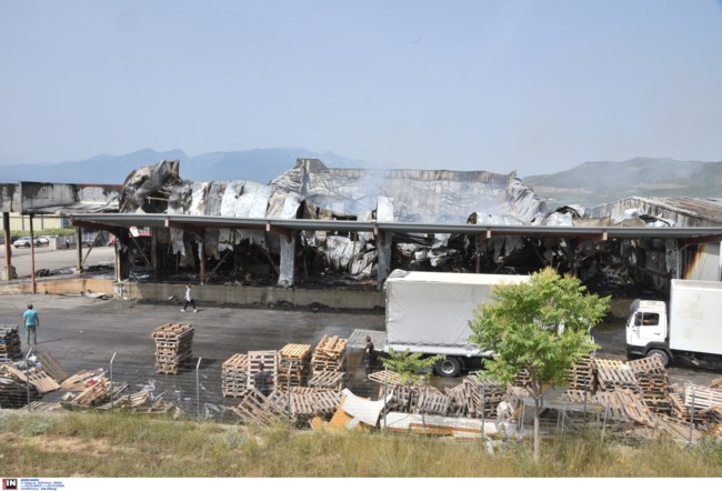 Εργοστάσιο με σάπια σχολικά γεύματα στη Λαμία: Ο ύποπτος υπάλληλος, τα δύο οχήματα και οι πρώτες ύλες που έληξαν... πέρυσι