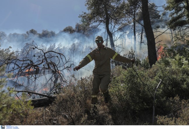 νεα μακρη