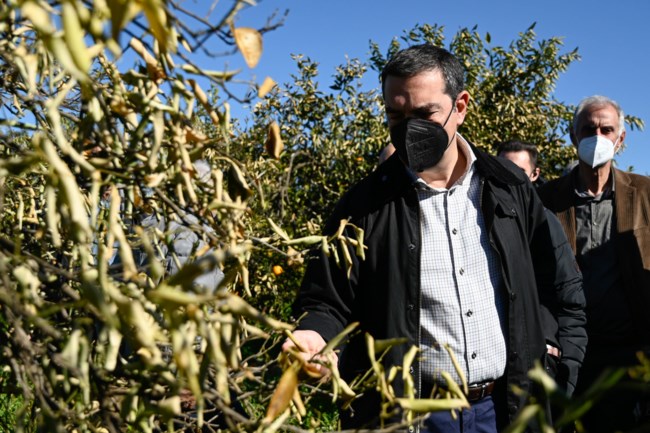 Αλέξης Τσίπρας