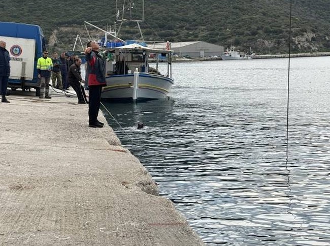 ΙΧ Θάλασσα