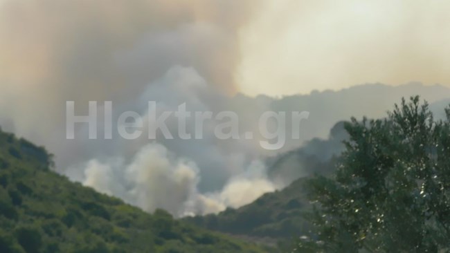 Φωτιά Νεμέα