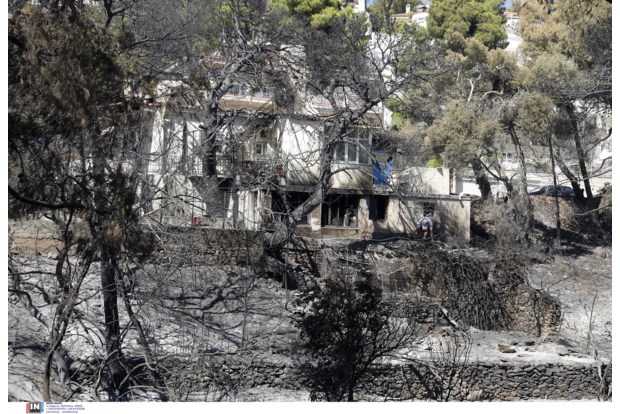 Πώς θα γίνει η αναγέννηση του φυσικού τοπίου της Πεντέλης 1 φωτια