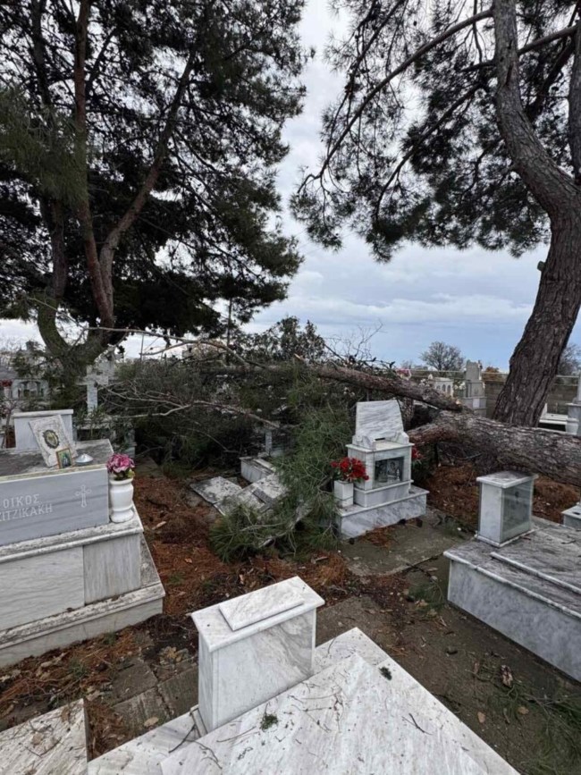 ΑΛΕΞΑΝΔΡΟΥΠΟΛΗ